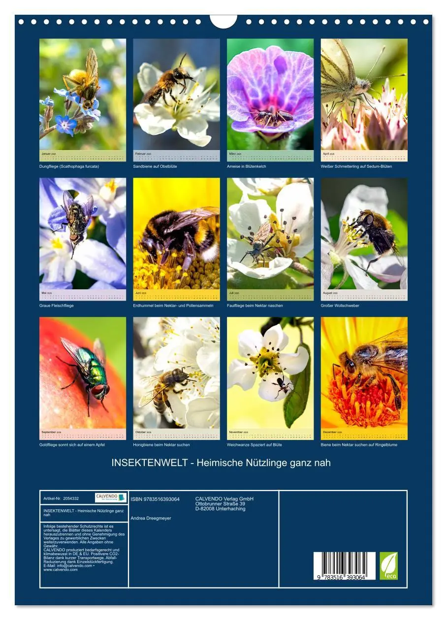 Bild: 9783516393064 | INSEKTENWELT - Heimische Nützlinge ganz nah (Wandkalender 2026 DIN...