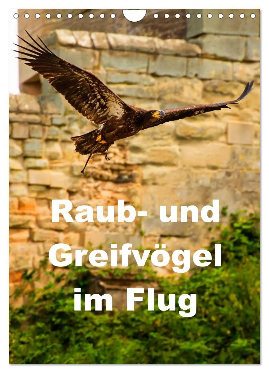 Cover: 9783516463064 | Raub- und Greifvögel im Flug (Wandkalender 2026 DIN A4 hoch),...