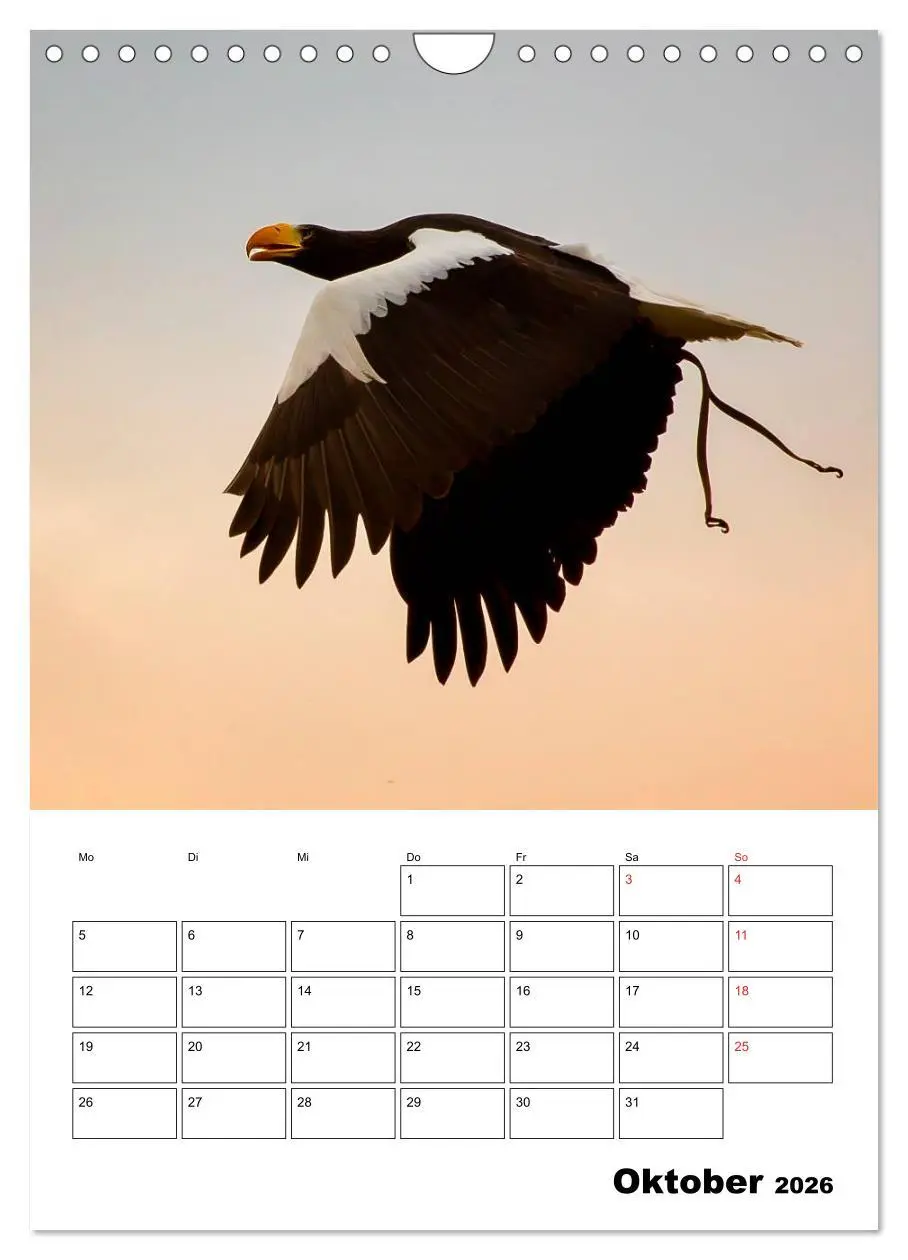 Bild: 9783516463064 | Raub- und Greifvögel im Flug (Wandkalender 2026 DIN A4 hoch),...