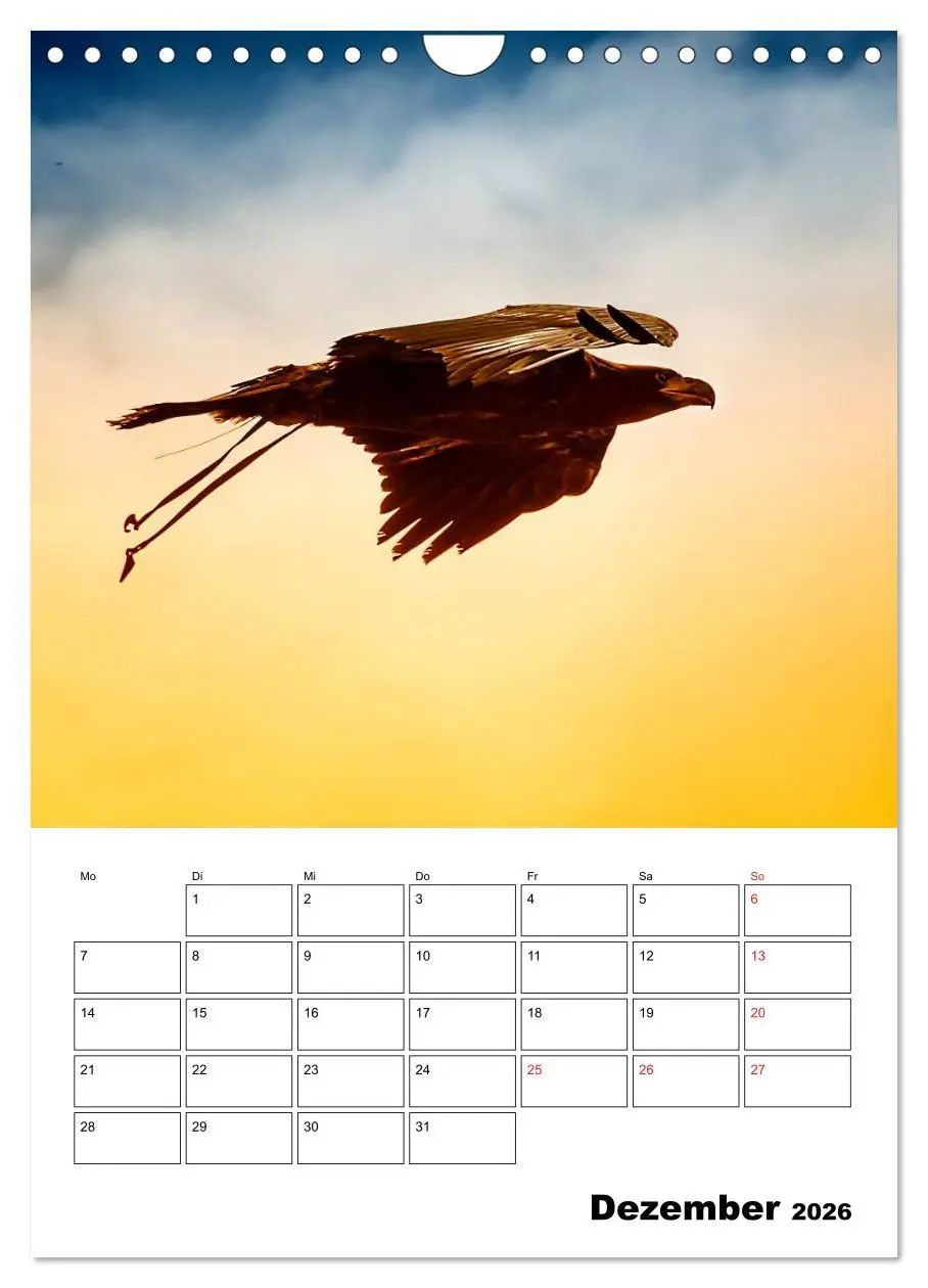 Bild: 9783516463064 | Raub- und Greifvögel im Flug (Wandkalender 2026 DIN A4 hoch),...