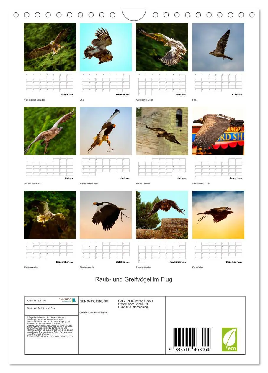 Bild: 9783516463064 | Raub- und Greifvögel im Flug (Wandkalender 2026 DIN A4 hoch),...