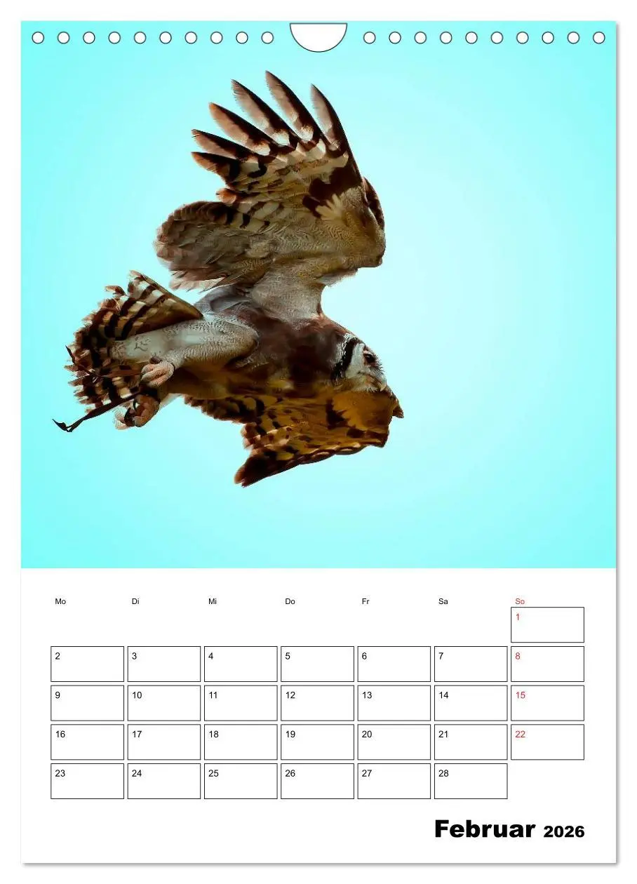 Bild: 9783516463064 | Raub- und Greifvögel im Flug (Wandkalender 2026 DIN A4 hoch),...