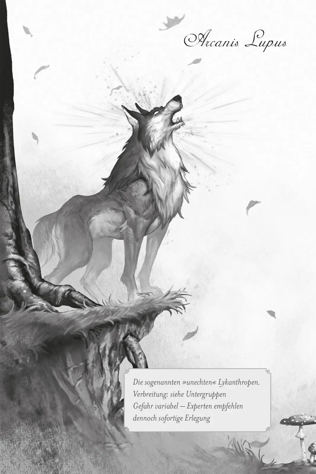 Bild: 9783551323064 | Die Oaknight-Chroniken 1: Werwolfjagd ist Familiensache | Leinkenjost