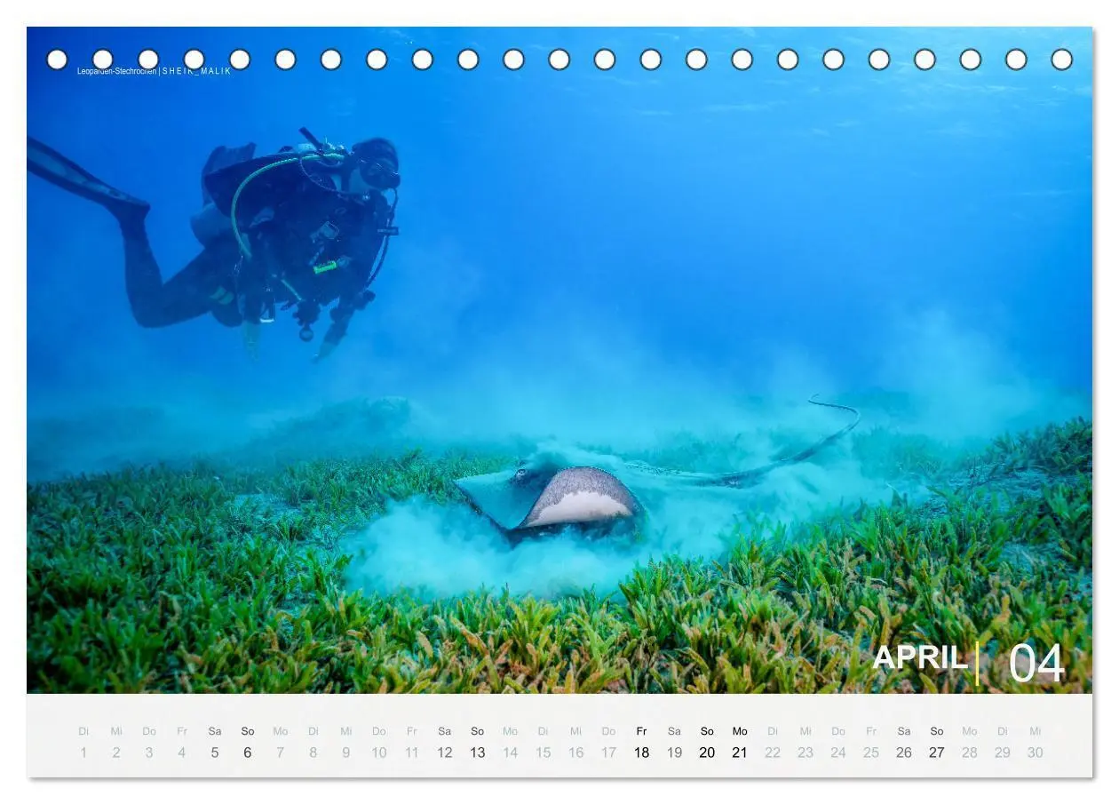 Bild: 9783435103164 | Die schönsten Korallenriffe zum Tauchen in Ägypten (Tischkalender...