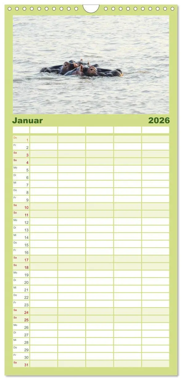 Bild: 9783516523164 | Familienplaner 2026 - Nilpferde, Kolosse im Wasser mit 5 Spalten...