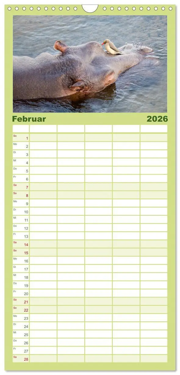 Bild: 9783516523164 | Familienplaner 2026 - Nilpferde, Kolosse im Wasser mit 5 Spalten...