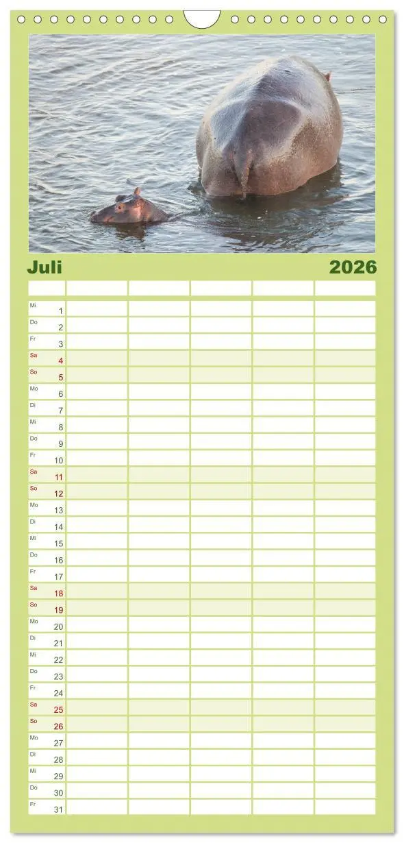 Bild: 9783516523164 | Familienplaner 2026 - Nilpferde, Kolosse im Wasser mit 5 Spalten...