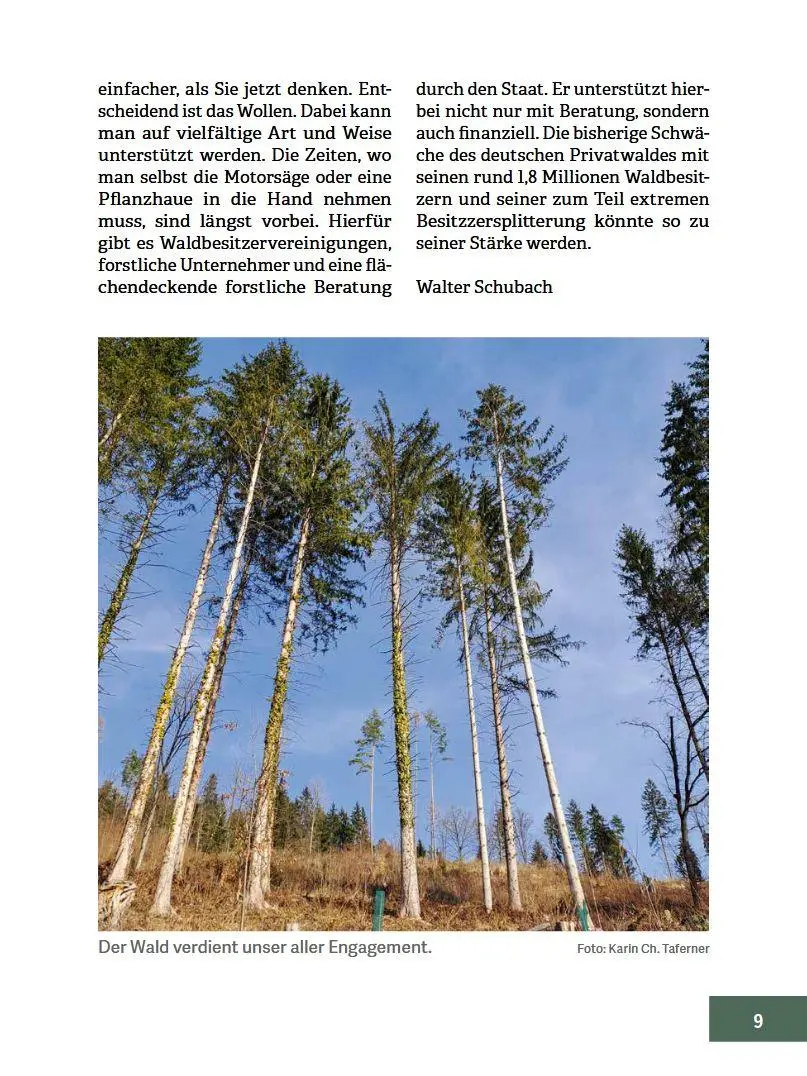 Bild: 9783702023164 | Wald im Wandel | Baumarten, Verjüngungsziele, Mischungsformen | Buch