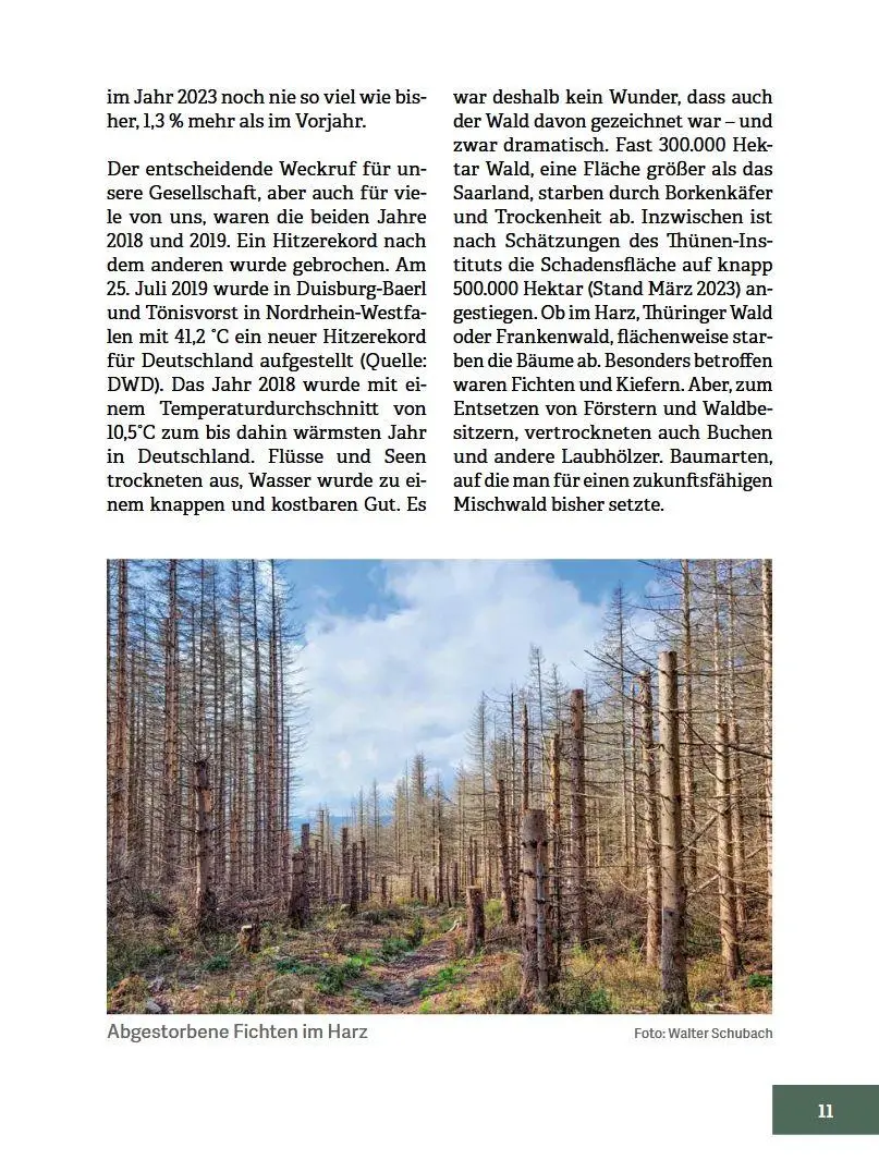 Bild: 9783702023164 | Wald im Wandel | Baumarten, Verjüngungsziele, Mischungsformen | Buch