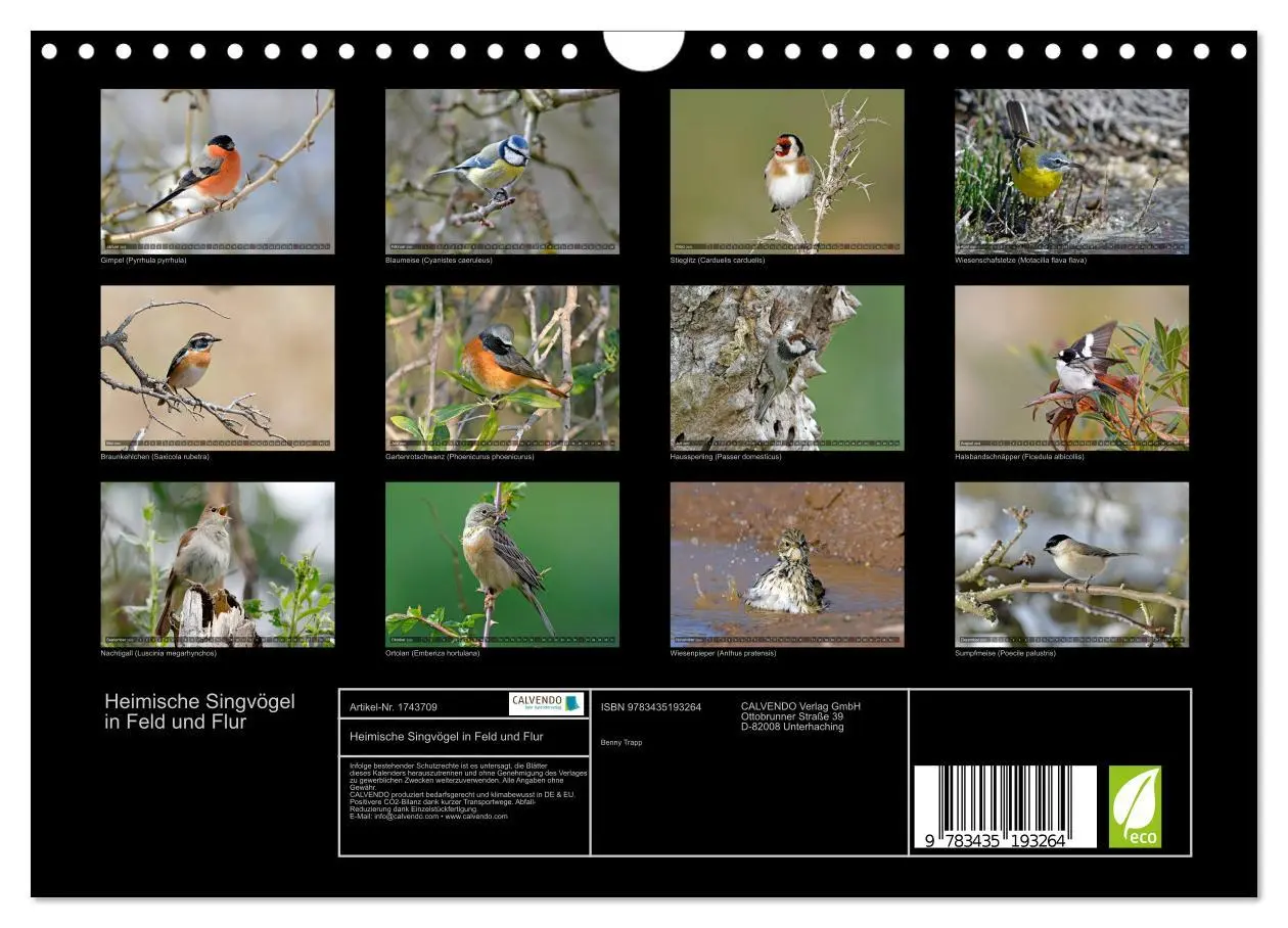 Bild: 9783435193264 | Heimische Singvögel in Feld und Flur (Wandkalender 2025 DIN A4...