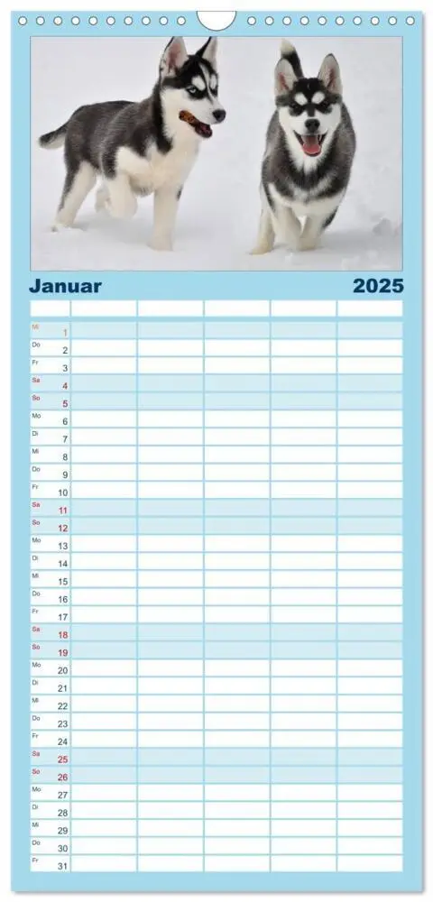 Bild: 9783457113264 | Familienplaner 2025 - Husky-Kalender mit 5 Spalten (Wandkalender,...