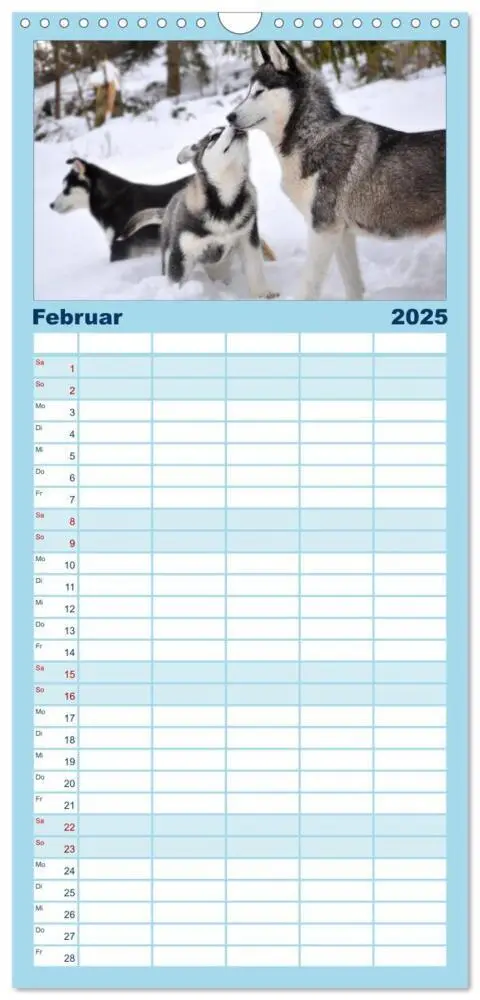 Bild: 9783457113264 | Familienplaner 2025 - Husky-Kalender mit 5 Spalten (Wandkalender,...