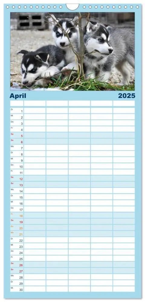 Bild: 9783457113264 | Familienplaner 2025 - Husky-Kalender mit 5 Spalten (Wandkalender,...