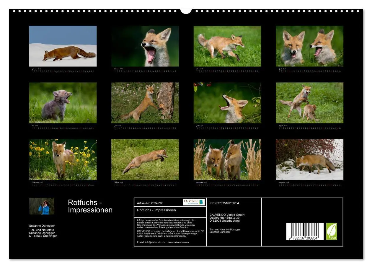 Bild: 9783516203264 | Rotfuchs - Impressionen (hochwertiger Premium Wandkalender 2026 DIN...