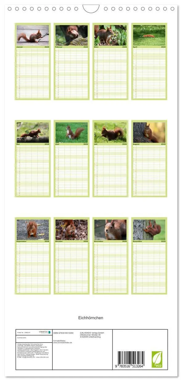 Bild: 9783516513264 | Familienplaner 2026 - Eichhörnchen mit 5 Spalten (Wandkalender, 21...
