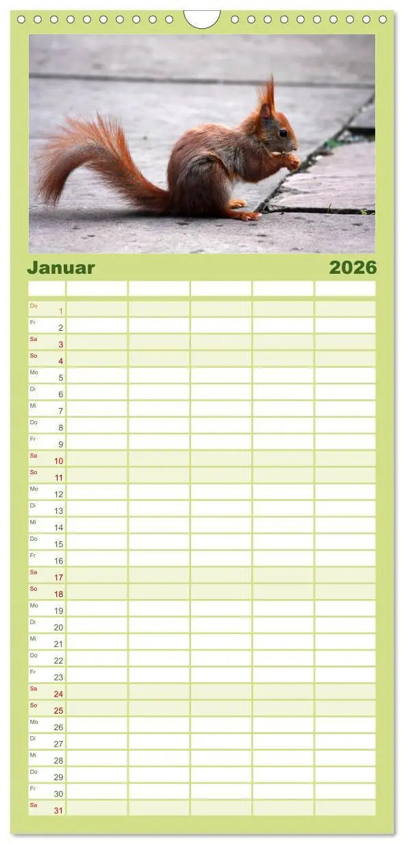 Bild: 9783516513264 | Familienplaner 2026 - Eichhörnchen mit 5 Spalten (Wandkalender, 21...