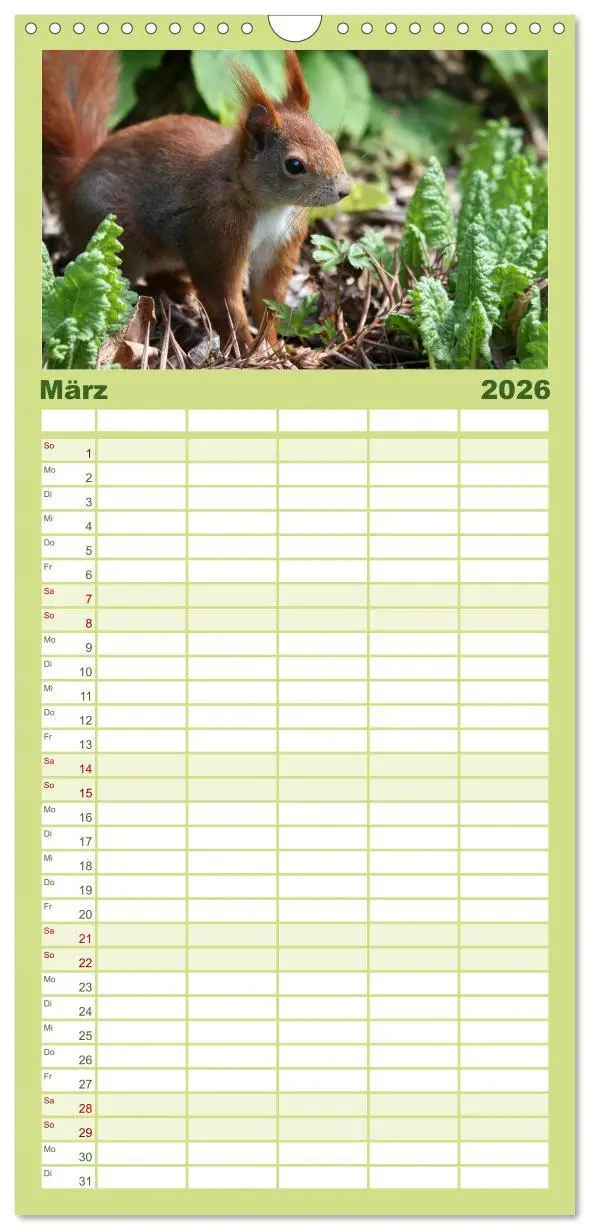 Bild: 9783516513264 | Familienplaner 2026 - Eichhörnchen mit 5 Spalten (Wandkalender, 21...