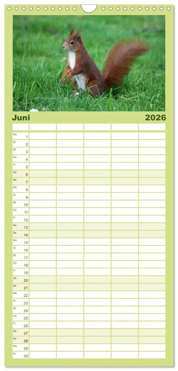 Bild: 9783516513264 | Familienplaner 2026 - Eichhörnchen mit 5 Spalten (Wandkalender, 21...
