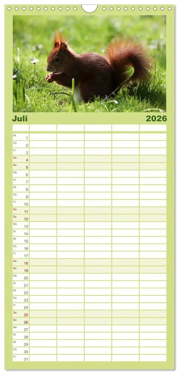 Bild: 9783516513264 | Familienplaner 2026 - Eichhörnchen mit 5 Spalten (Wandkalender, 21...