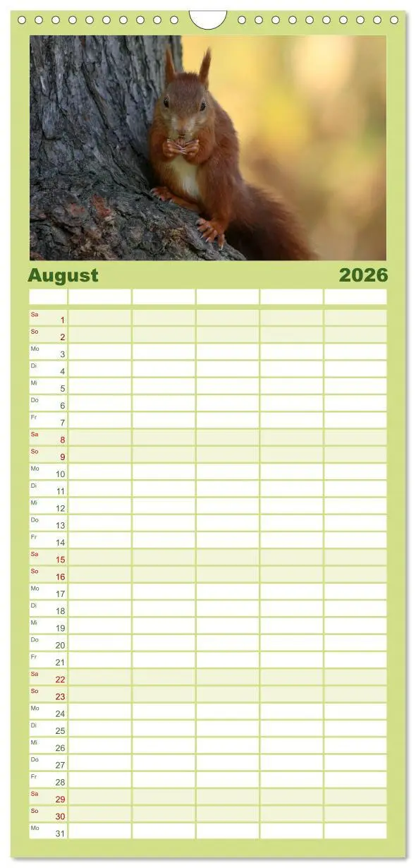 Bild: 9783516513264 | Familienplaner 2026 - Eichhörnchen mit 5 Spalten (Wandkalender, 21...