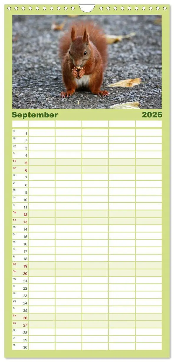 Bild: 9783516513264 | Familienplaner 2026 - Eichhörnchen mit 5 Spalten (Wandkalender, 21...
