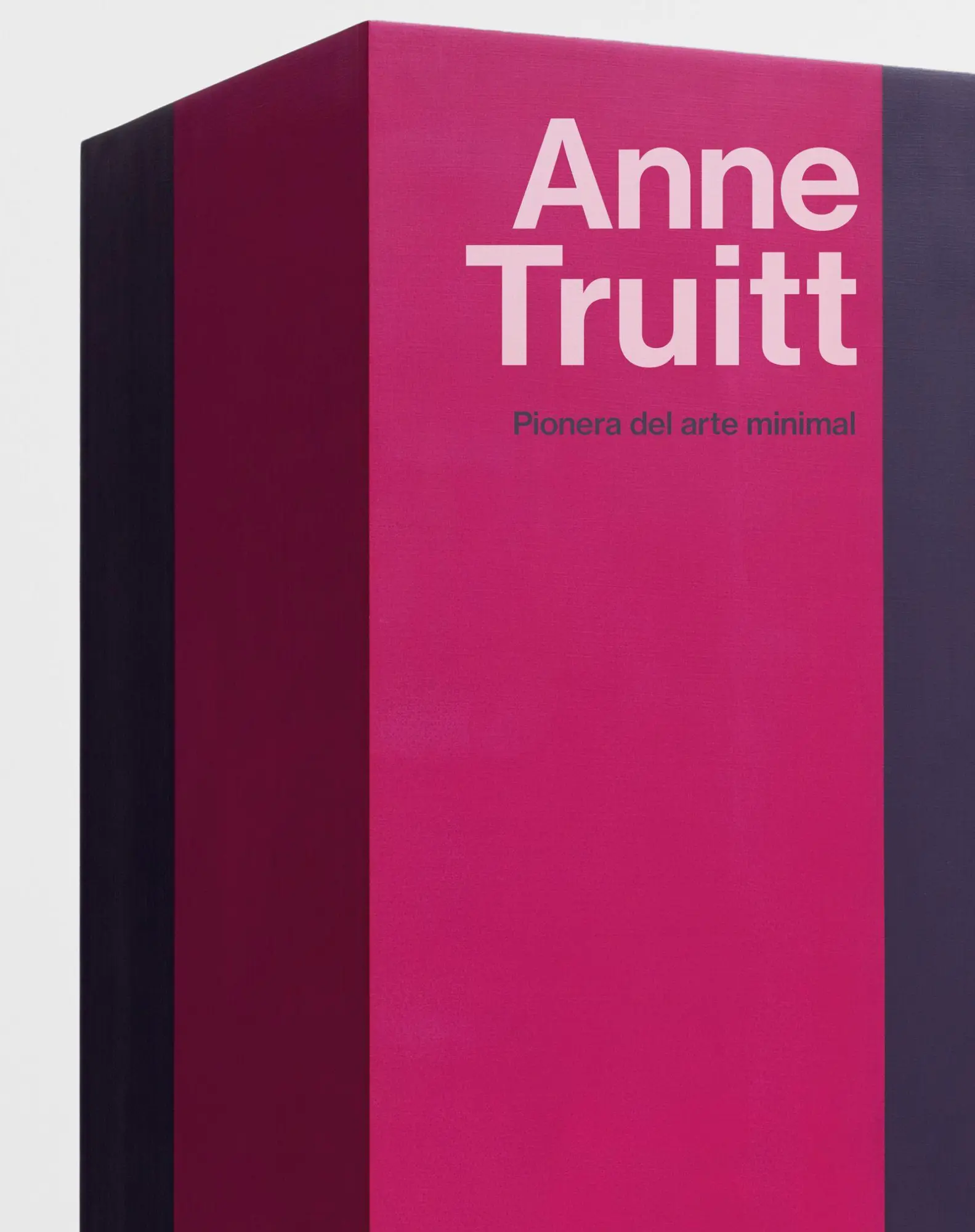 Cover: 9783775763264 | Anne Truitt | Buch | 224 S. | Englisch | 2026 | EAN 9783775763264