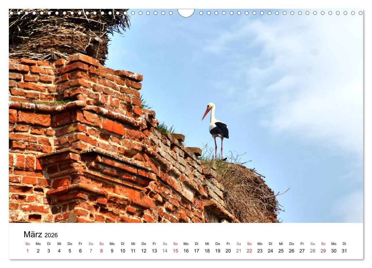 Bild: 9783457893364 | Elchniederung - Naturparadies in Ostpreußen (Wandkalender 2026 DIN...
