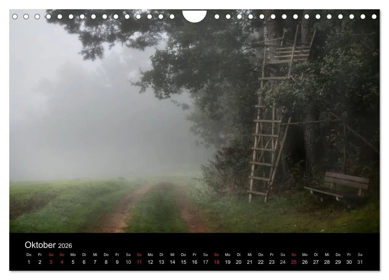 Bild: 9783516123364 | Kanzelkalender 2026 (Wandkalender 2026 DIN A4 quer), CALVENDO...