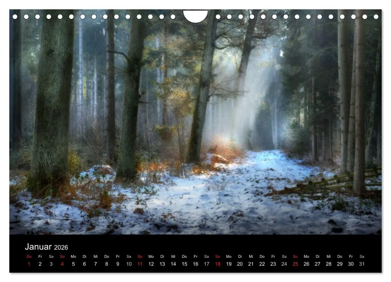 Bild: 9783516123364 | Kanzelkalender 2026 (Wandkalender 2026 DIN A4 quer), CALVENDO...