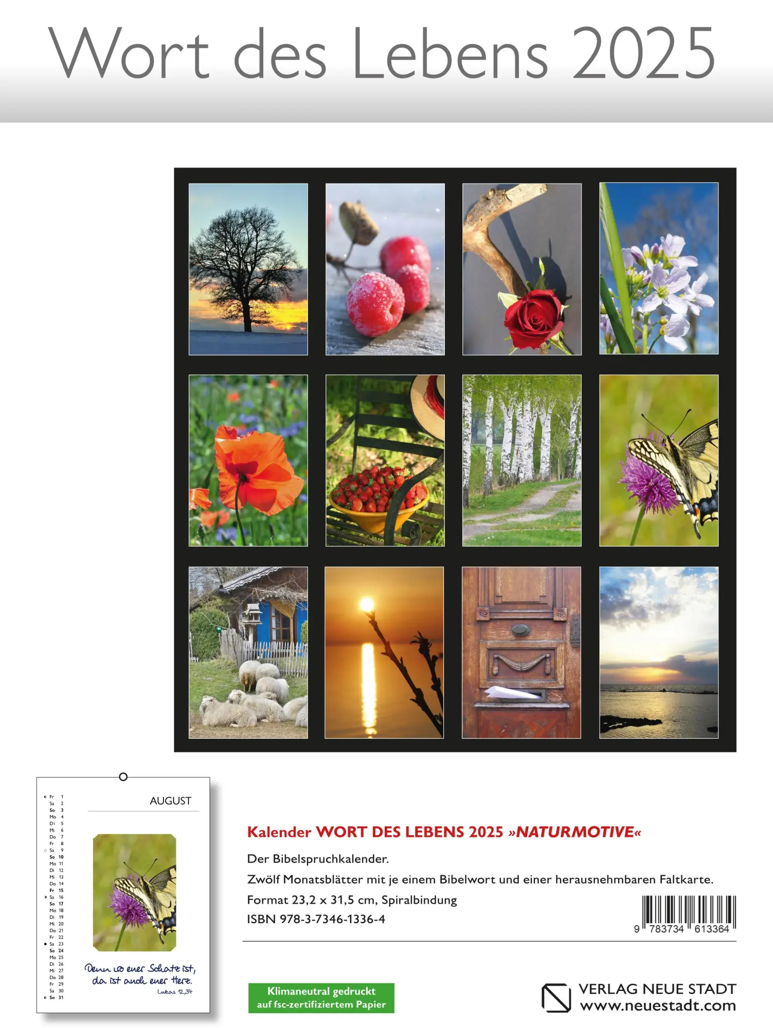 Bild: 9783734613364 | Wort des Lebens 2025 - Der Bibelspruchkalender | Kalender | Deutsch
