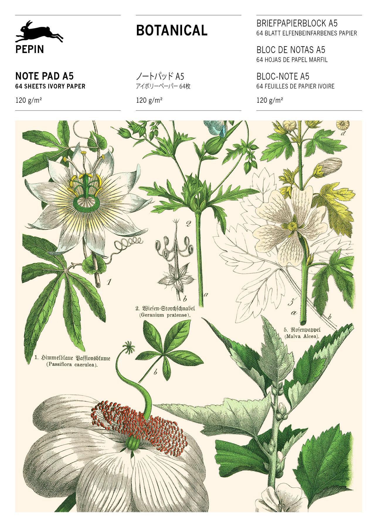 Cover: 9789460093364 | Botanical | Writing Paper &amp; Note Pad A5 | Pepin Van Roojen | 64 S.