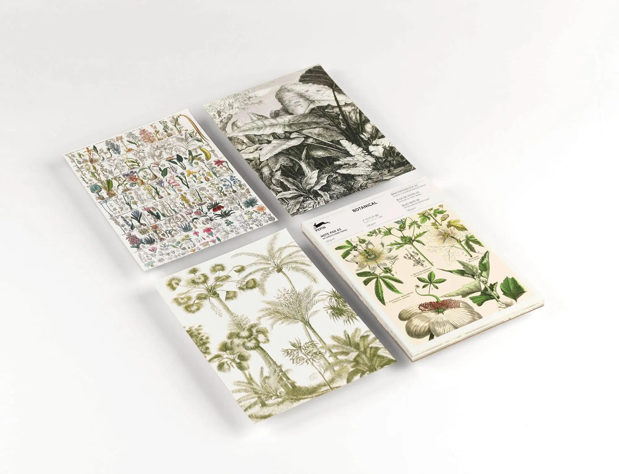 Bild: 9789460093364 | Botanical | Writing Paper &amp; Note Pad A5 | Pepin Van Roojen | 64 S.