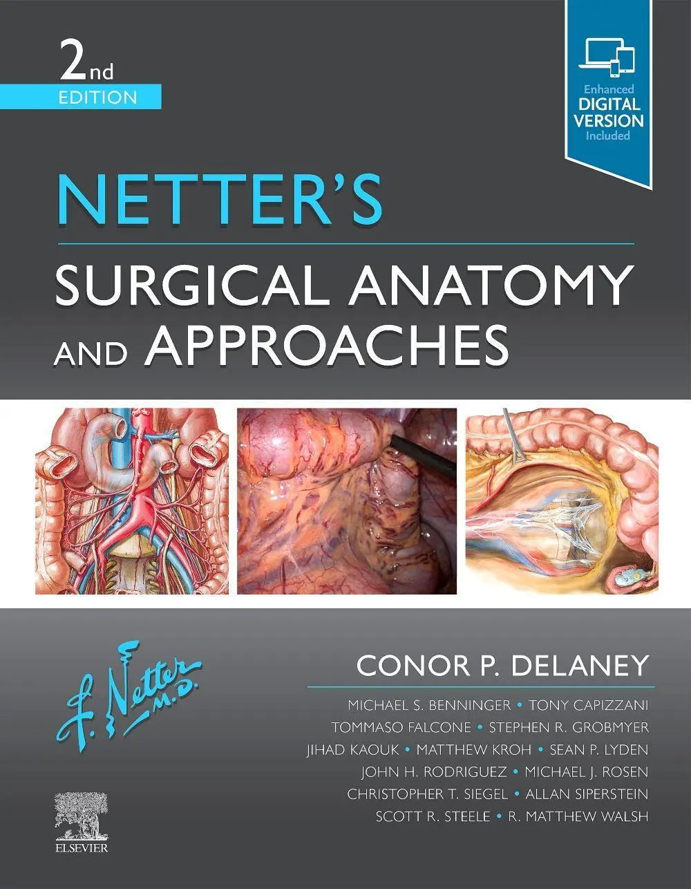Cover: 9780323673464 | Netter's Surgical Anatomy and Approaches | Conor P Delaney | Buch Cover: 9780323673464 | Netter's Surgical Anatomy and Approaches | Conor P Delaney | Buch