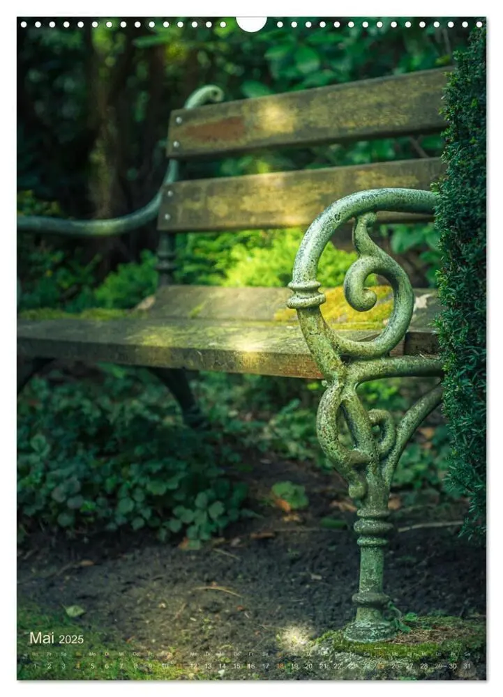 Bild: 9783435933464 | Die stillen Momente im Ohlsdorfer Friedhof (Wandkalender 2025 DIN...