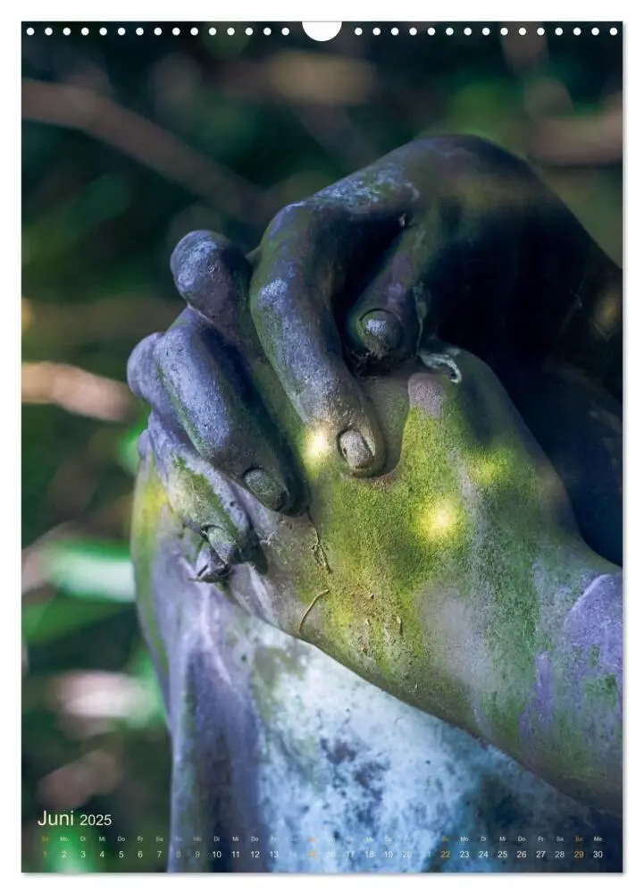 Bild: 9783435933464 | Die stillen Momente im Ohlsdorfer Friedhof (Wandkalender 2025 DIN...