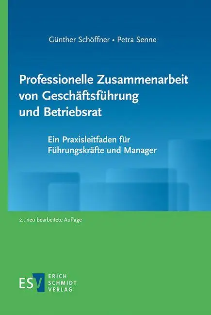 Cover: 9783503243464 | Professionelle Zusammenarbeit von Geschäftsführung und Betriebsrat