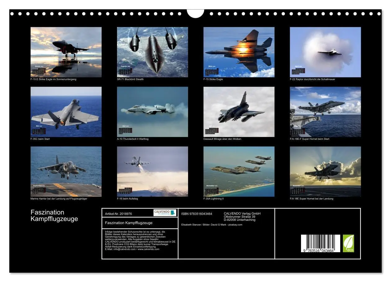 Bild: 9783516043464 | Faszination Kampfflugzeuge (Wandkalender 2026 DIN A3 quer),...