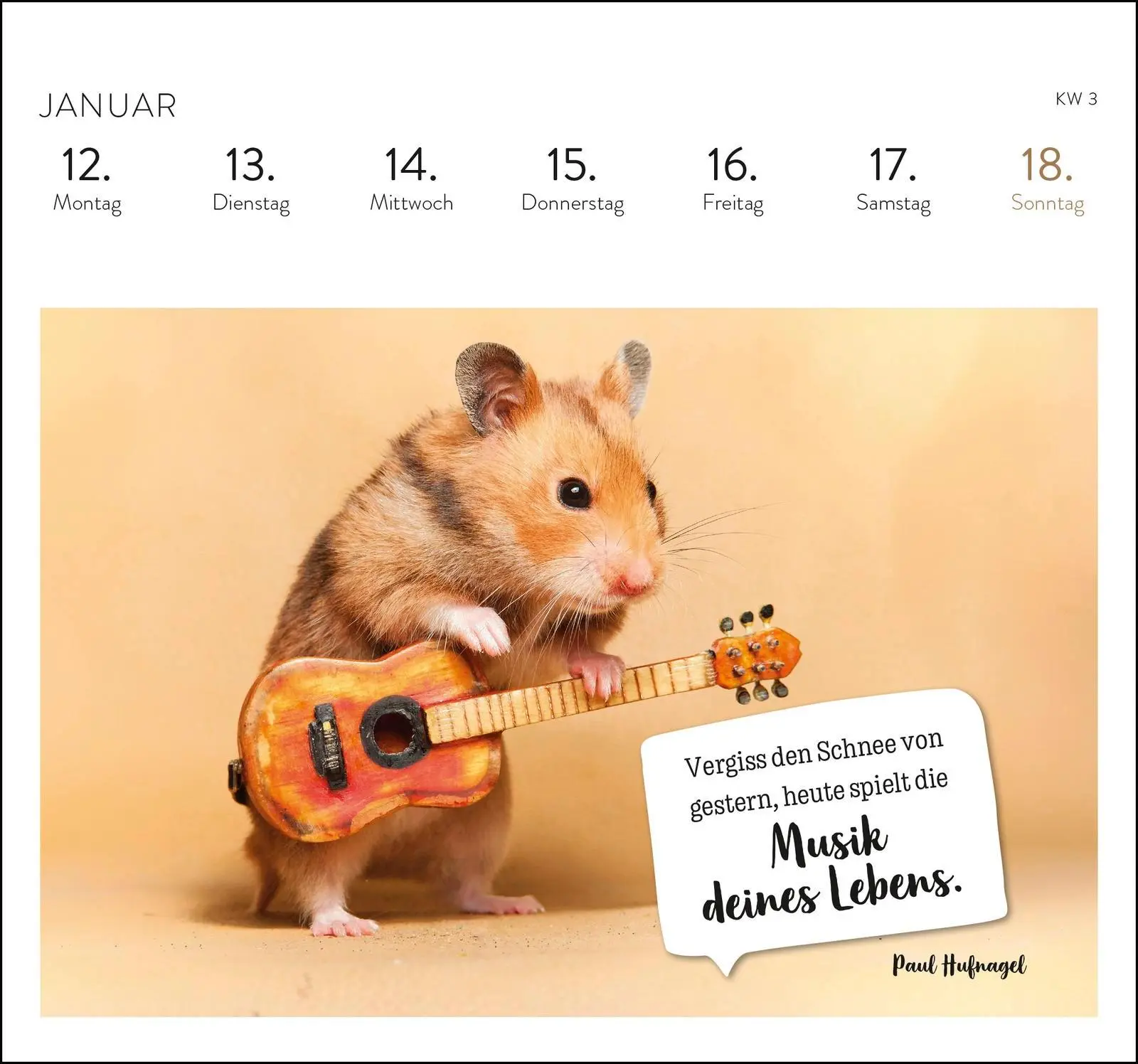 Bild: 4036442013564 | Postkartenkalender 2026: Eine kleine Umarmung für jeden Tag | Verlag