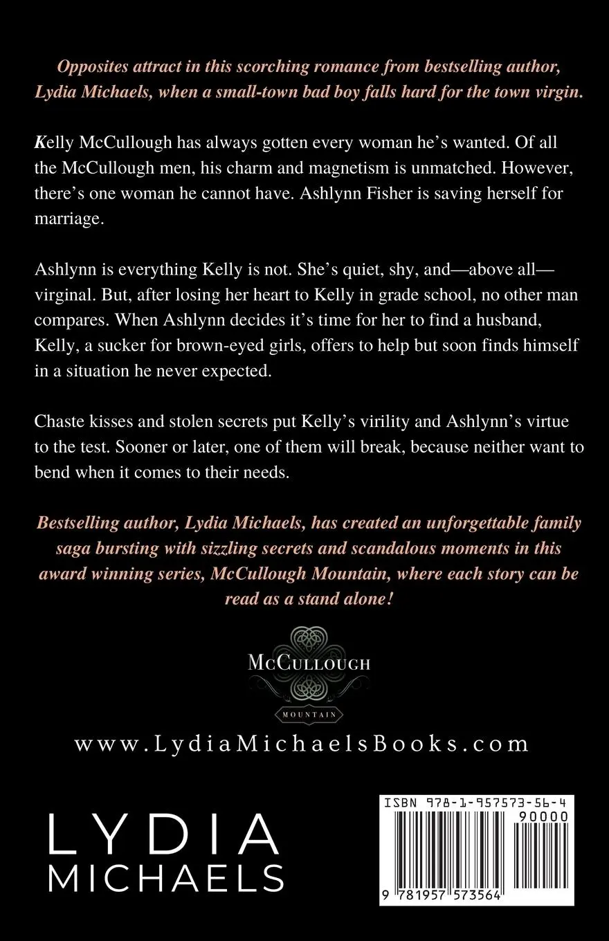 Rückseite: 9781957573564 | Irish Rogue | Hero Edition | Lydia Michaels | Taschenbuch | Englisch