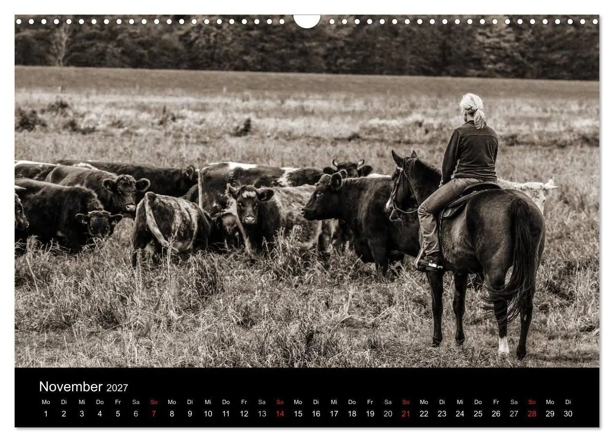 Bild: 9783569983564 | Westernreiten (Wandkalender 2027 DIN A3 quer), CALVENDO Monatskalender