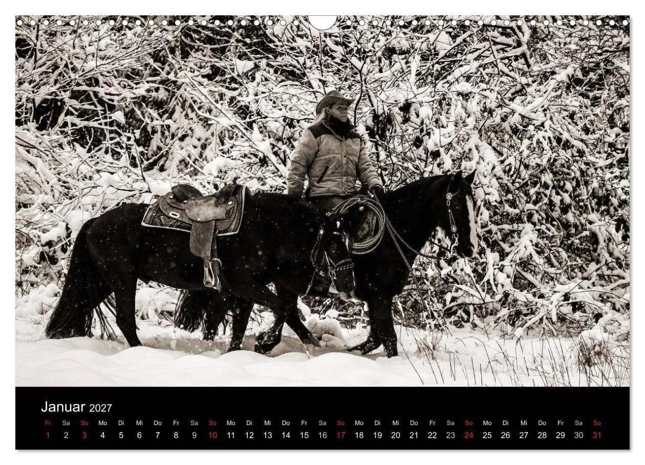 Bild: 9783569983564 | Westernreiten (Wandkalender 2027 DIN A3 quer), CALVENDO Monatskalender