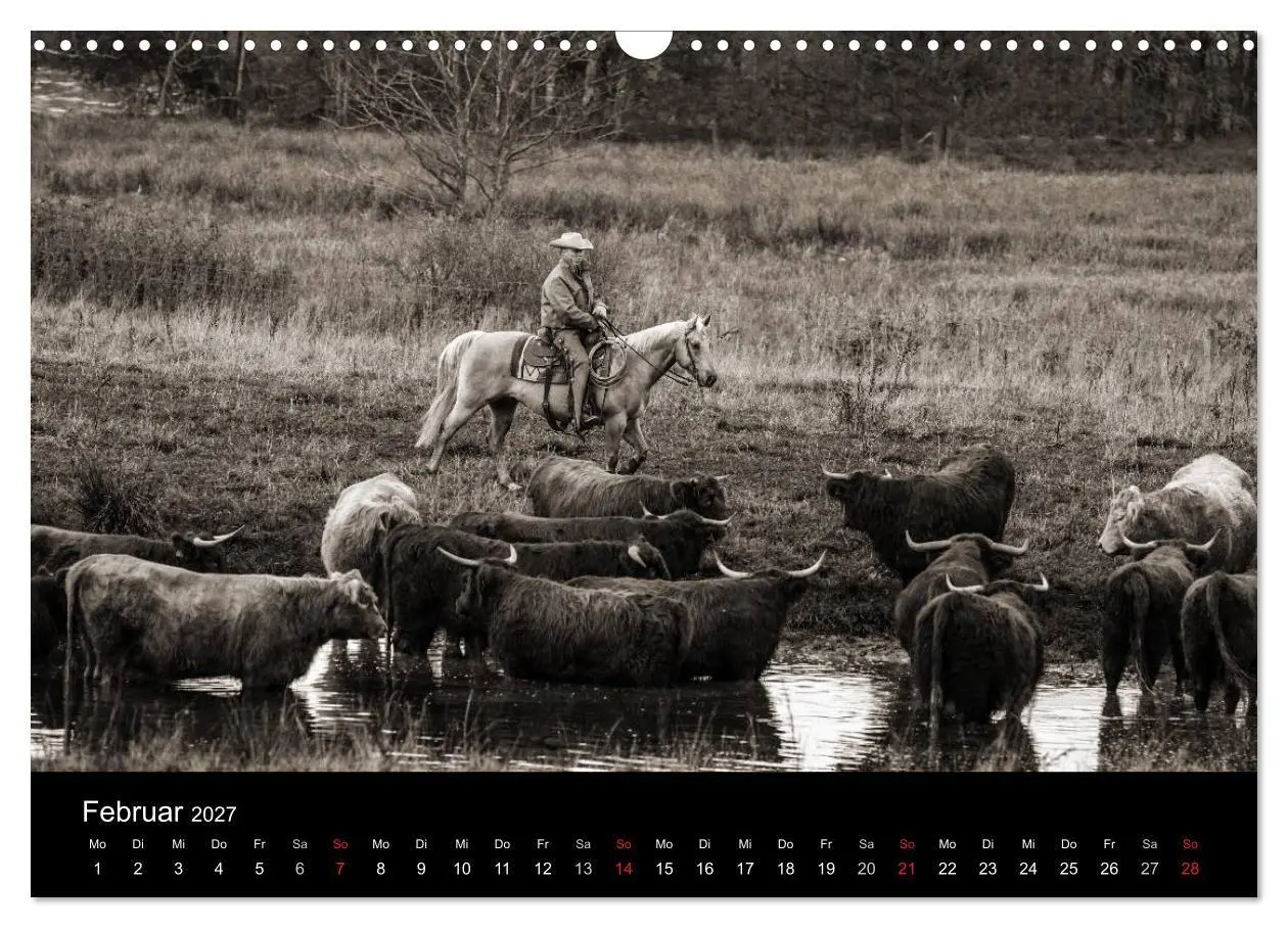 Bild: 9783569983564 | Westernreiten (Wandkalender 2027 DIN A3 quer), CALVENDO Monatskalender