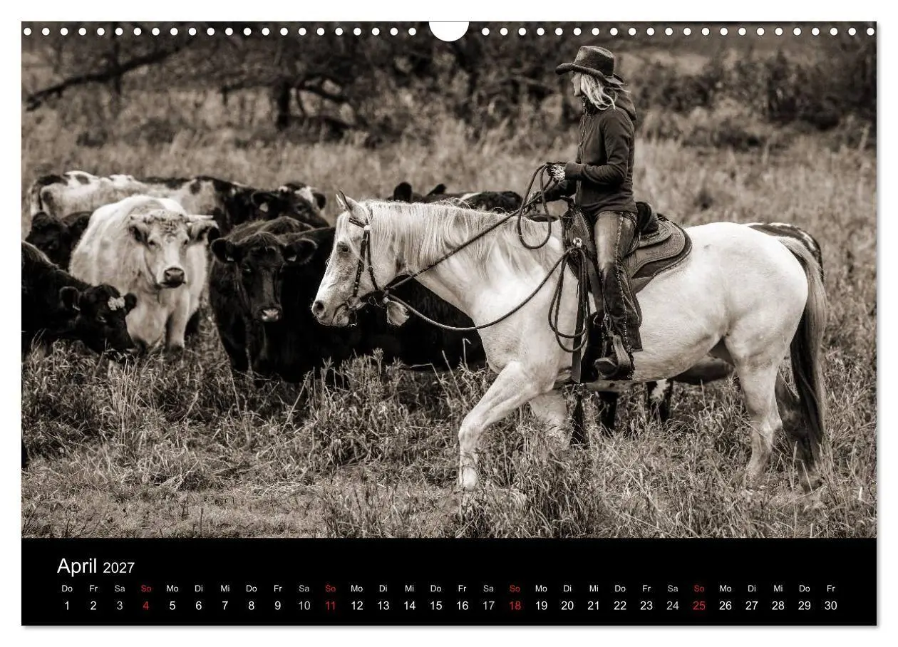 Bild: 9783569983564 | Westernreiten (Wandkalender 2027 DIN A3 quer), CALVENDO Monatskalender