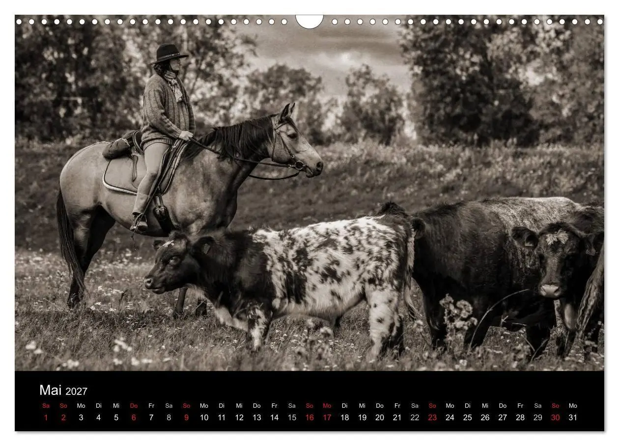 Bild: 9783569983564 | Westernreiten (Wandkalender 2027 DIN A3 quer), CALVENDO Monatskalender