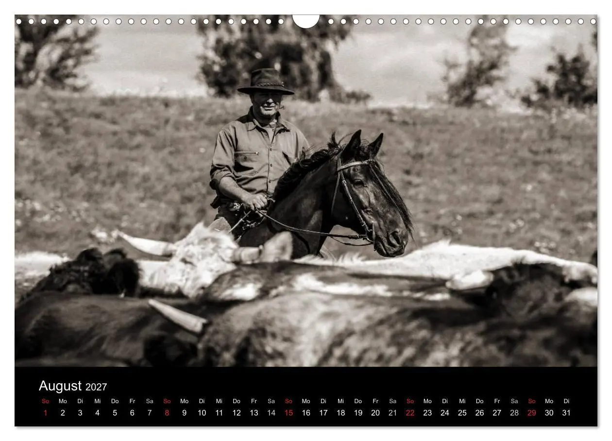 Bild: 9783569983564 | Westernreiten (Wandkalender 2027 DIN A3 quer), CALVENDO Monatskalender