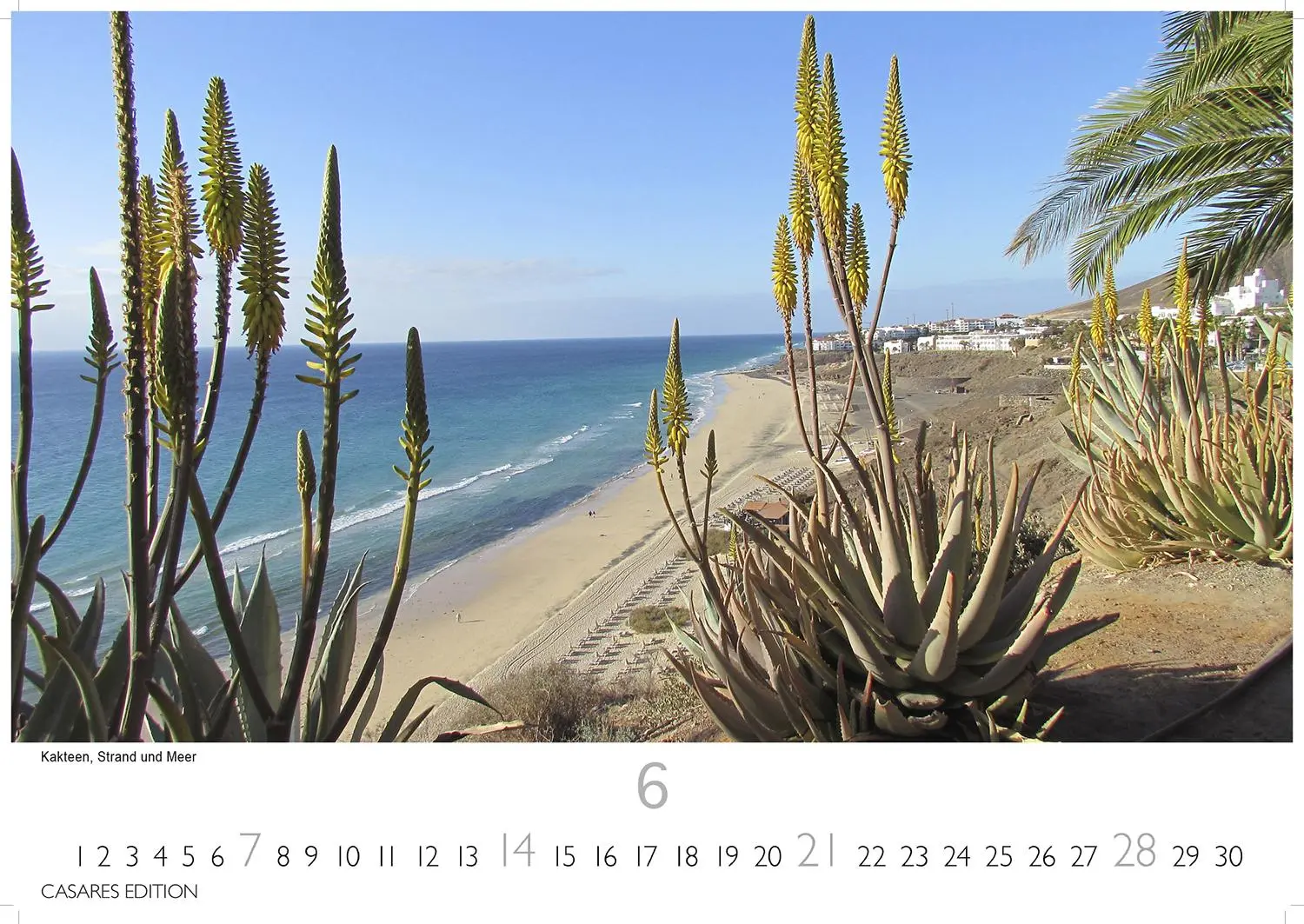 Bild: 9781835243664 | Fuerteventura 2026 L 35x50cm | Kalender | 14 S. | Deutsch | 2026