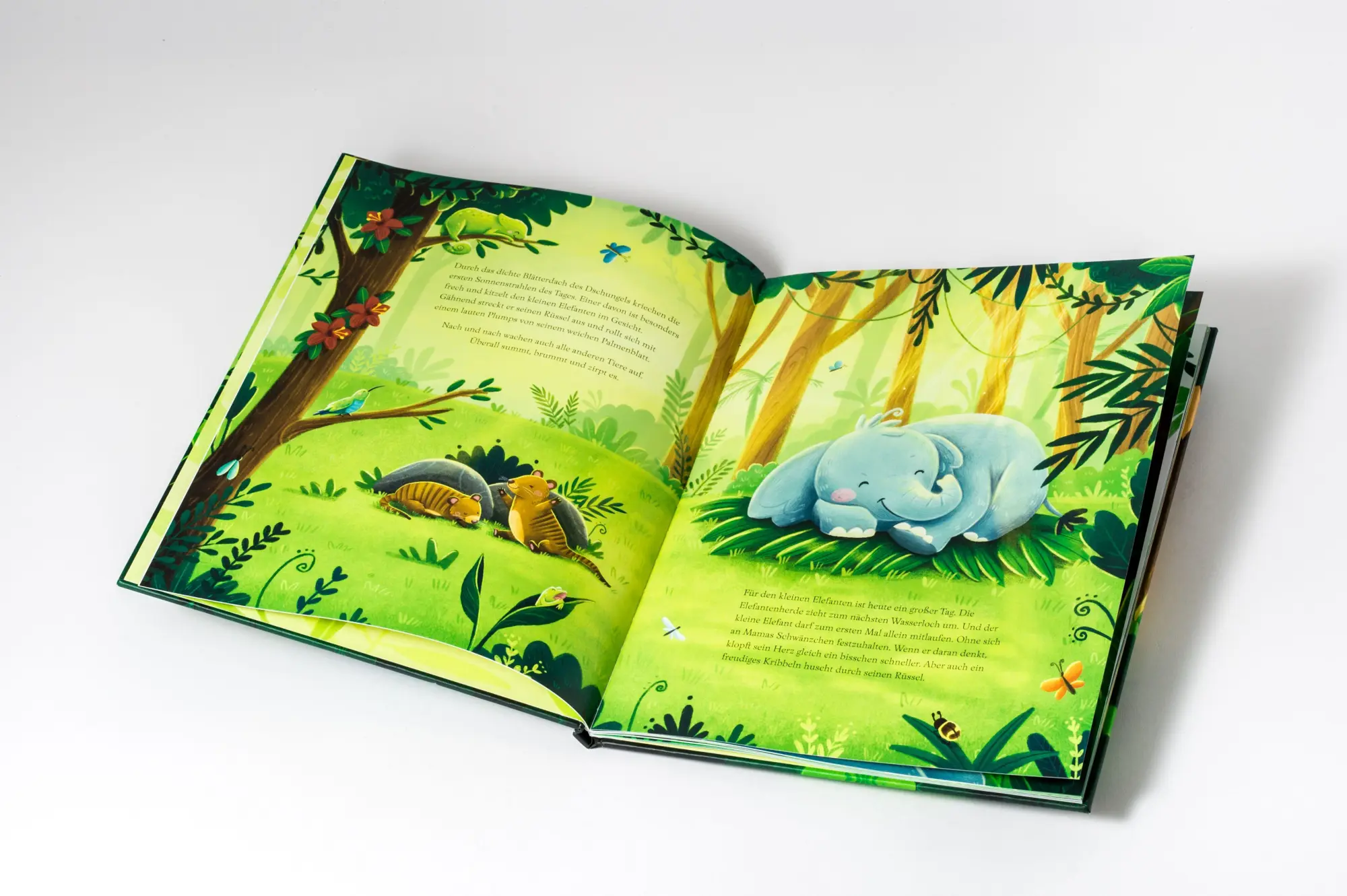 Bild: 9783328303664 | Ganz viel GEFÜHLT! | Amelie Plaas-Link | Buch | 32 S. | Deutsch | 2026