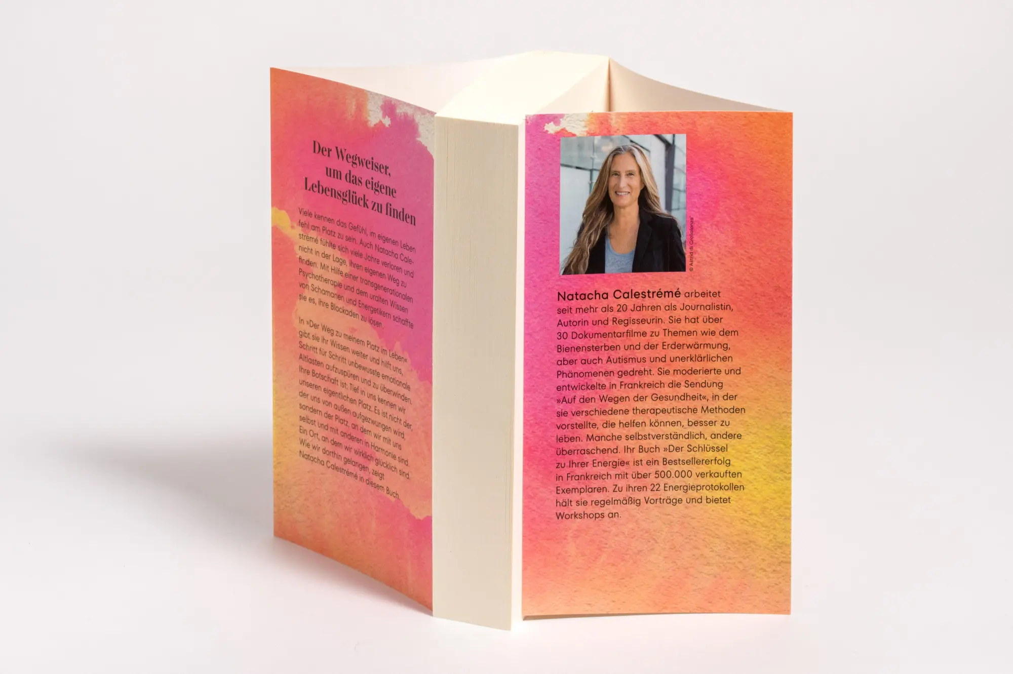 Bild: 9783442223664 | Der Weg zu meinem Platz im Leben | Natacha Calestrémé | Taschenbuch