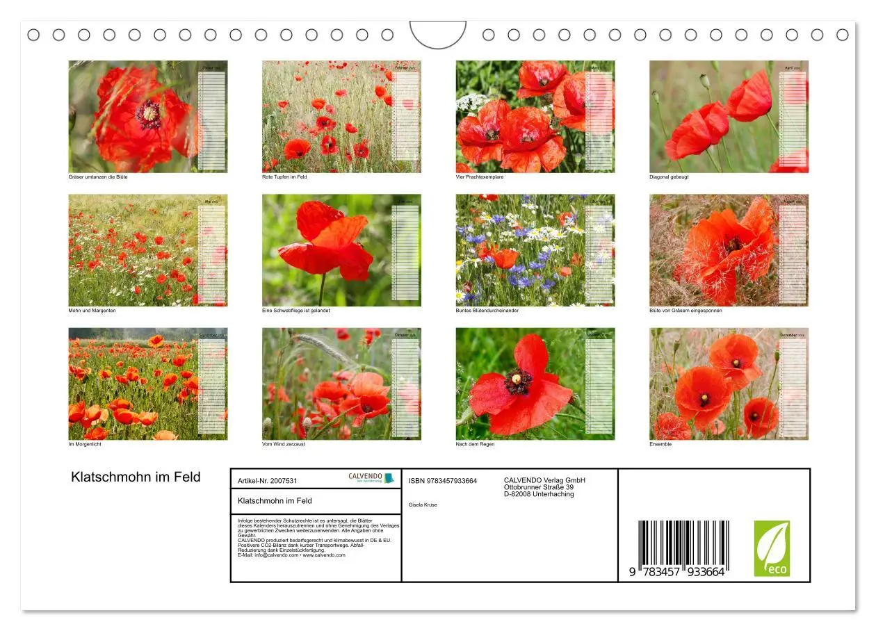 Bild: 9783457933664 | Klatschmohn im Feld (Wandkalender 2026 DIN A4 quer), CALVENDO...