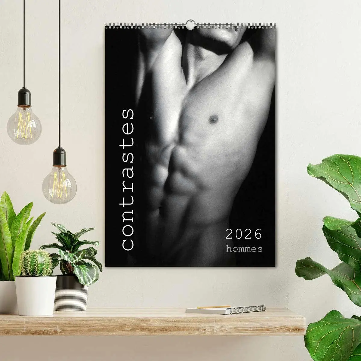 Bild: 9783516573664 | contrastes hommes (Calendrier mural 2026 DIN A2 horizontal),...